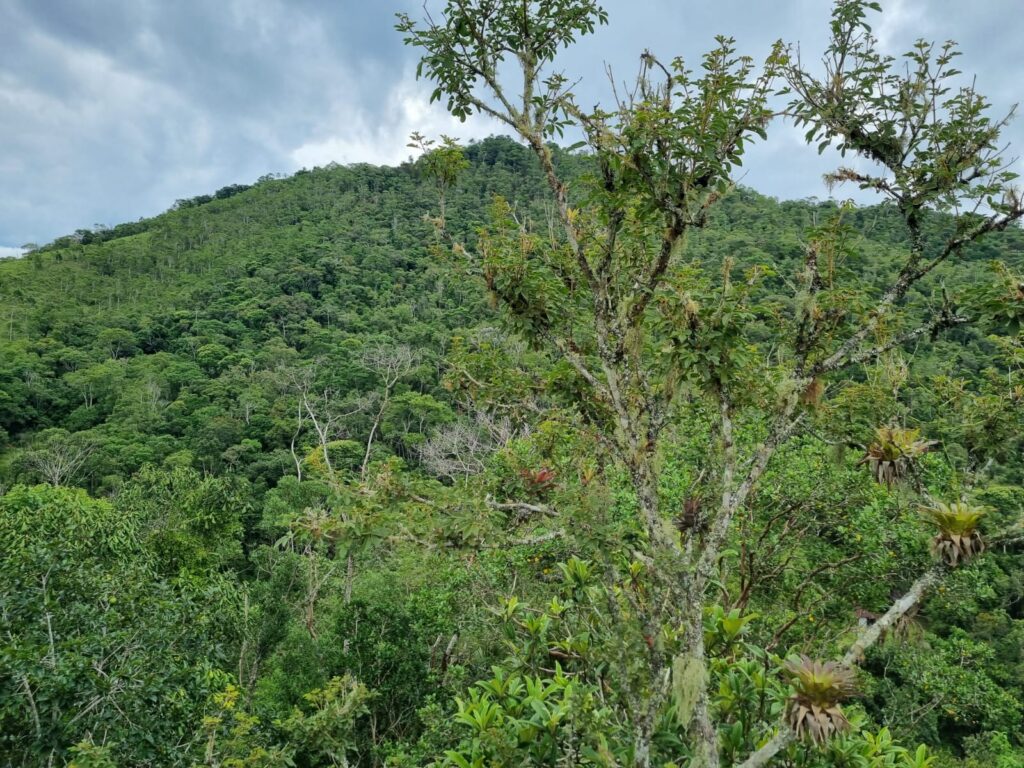 IMG-20250106-WA0056(1)
